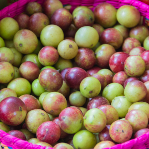 Suplementos naturales, Fuxión, Desintoxicación, Energía, Colageno,Antioxidantes, Bienestar, Salud, Vida saludable, Nutrición, Piel sana, Cabellofuerte, Articulaciones saludables, antienvejecimiento, Estilo de vida saludable, Nutrición natural, Suplementos naturales,Bienestar integral, Estilo de vida saludable, Alimentación consciente, Saludholística, Remedios ancestrales,Ingredientes milenarios, Salud preventiva, Fitonutrientes, Detoxnatural, Energía natural, Inmunidad natural, Superalimentos, Vida saludable, Equilibrionatural, Cuidado del cuerpo,Salud natural, productos orgánicos, Vitalidad natural