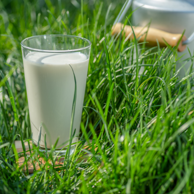 Suplementos naturales, Fuxión, Desintoxicación, Energía, Colageno,Antioxidantes, Bienestar, Salud, Vida saludable, Nutrición, Piel sana, Cabellofuerte, Articulaciones saludables, antienvejecimiento, Estilo de vida saludable, Nutrición natural, Suplementos naturales,Bienestar integral, Estilo de vida saludable, Alimentación consciente, Saludholística, Remedios ancestrales,Ingredientes milenarios, Salud preventiva, Fitonutrientes, Detoxnatural, Energía natural, Inmunidad natural, Superalimentos, Vida saludable, Equilibrionatural, Cuidado del cuerpo,Salud natural, productos orgánicos, Vitalidad natural