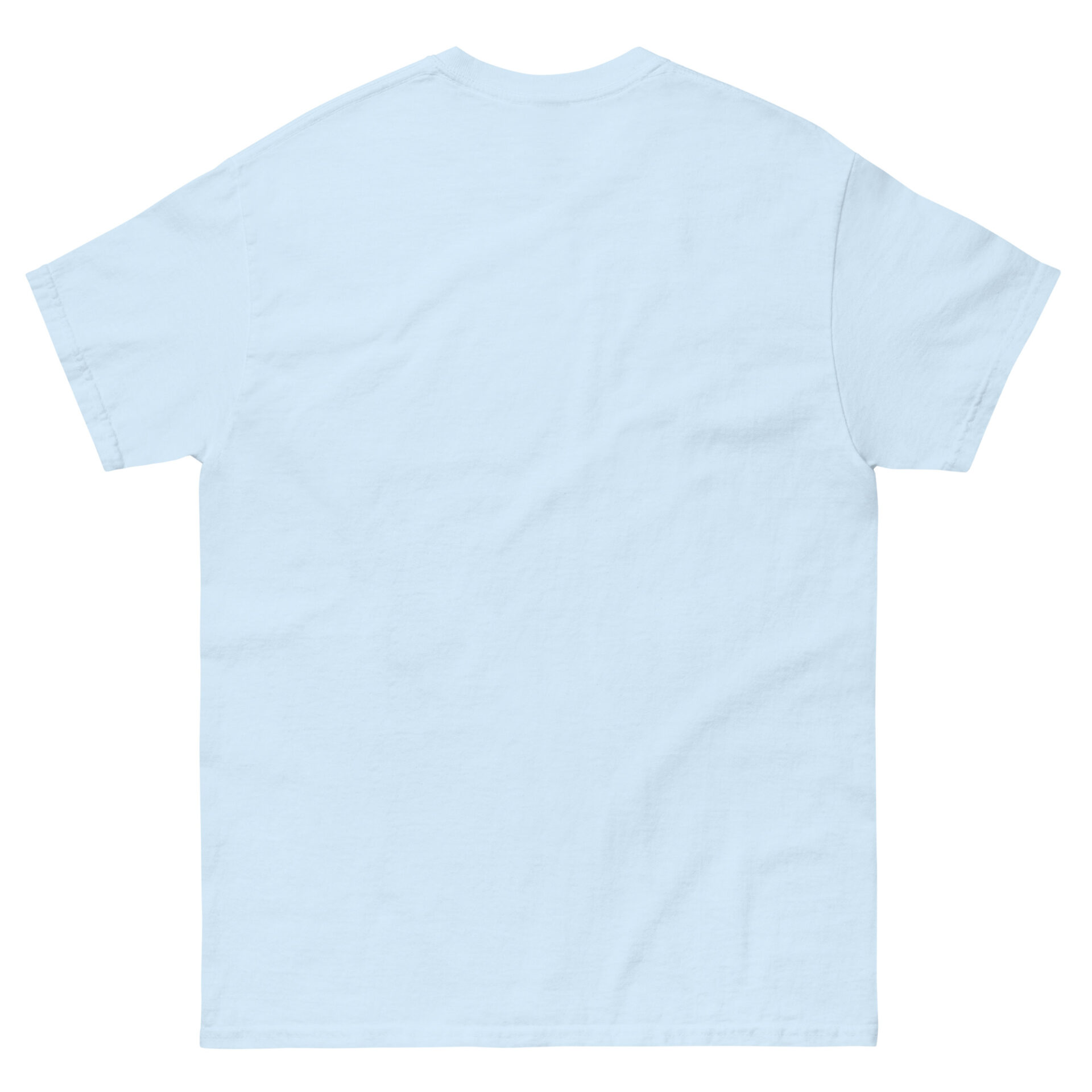 unisex-classic-tee-light-blue-back-6750a9512372e.jpg