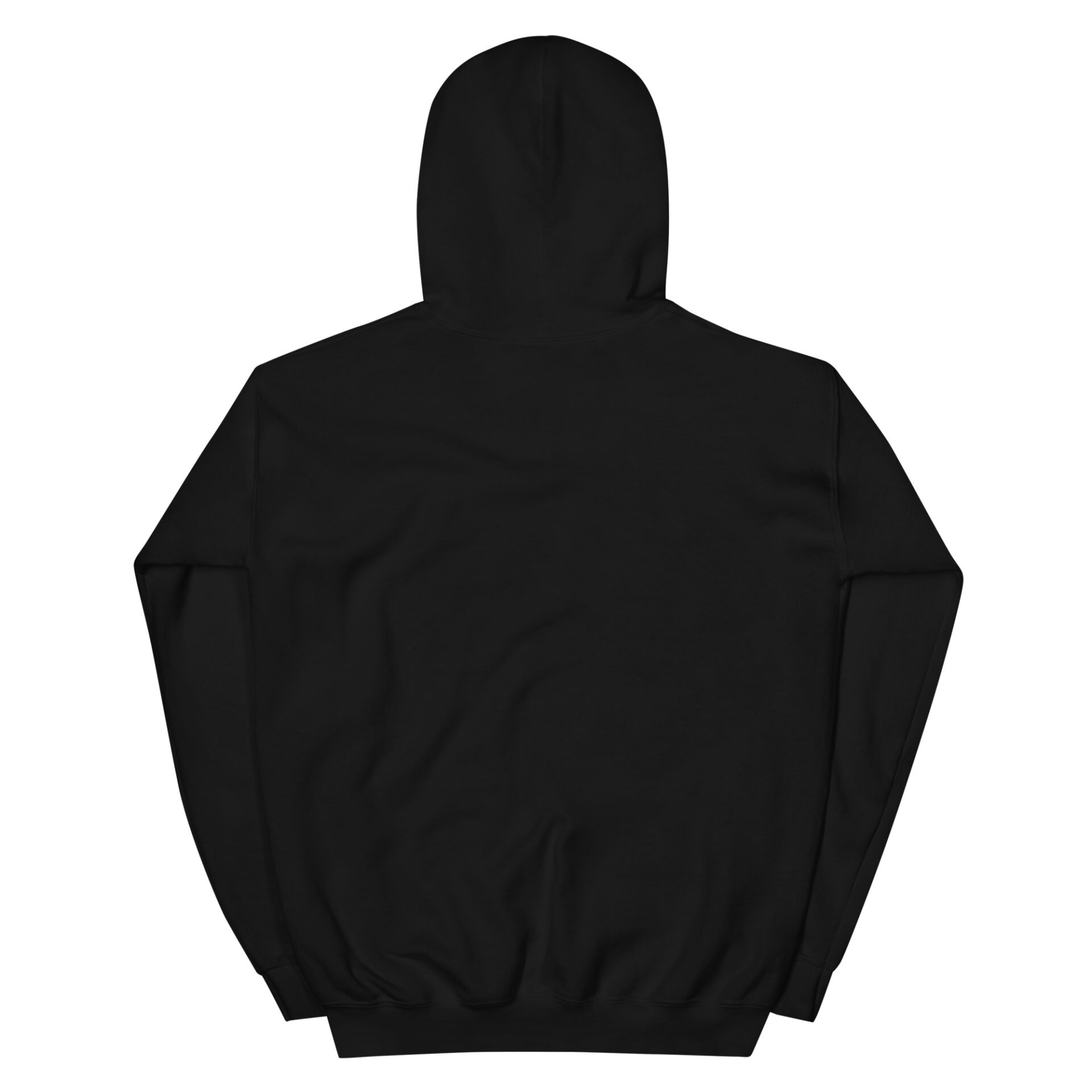 unisex-heavy-blend-hoodie-black-back-6750a02346c05.jpg