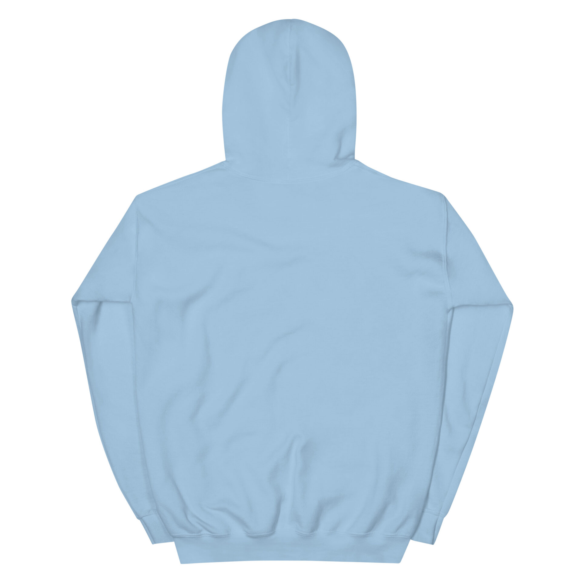 unisex-heavy-blend-hoodie-light-blue-back-67509e2246a98.jpg