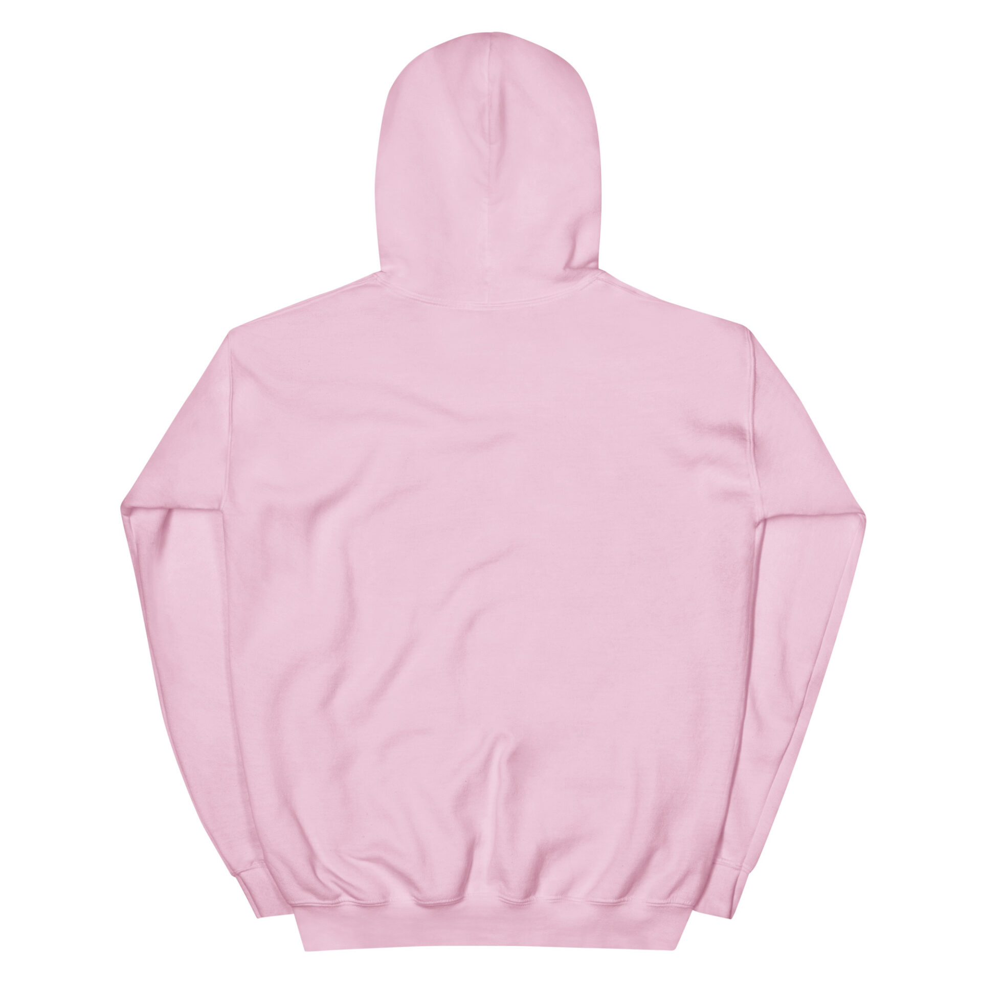 unisex-heavy-blend-hoodie-light-pink-back-6750a023aec95.jpg