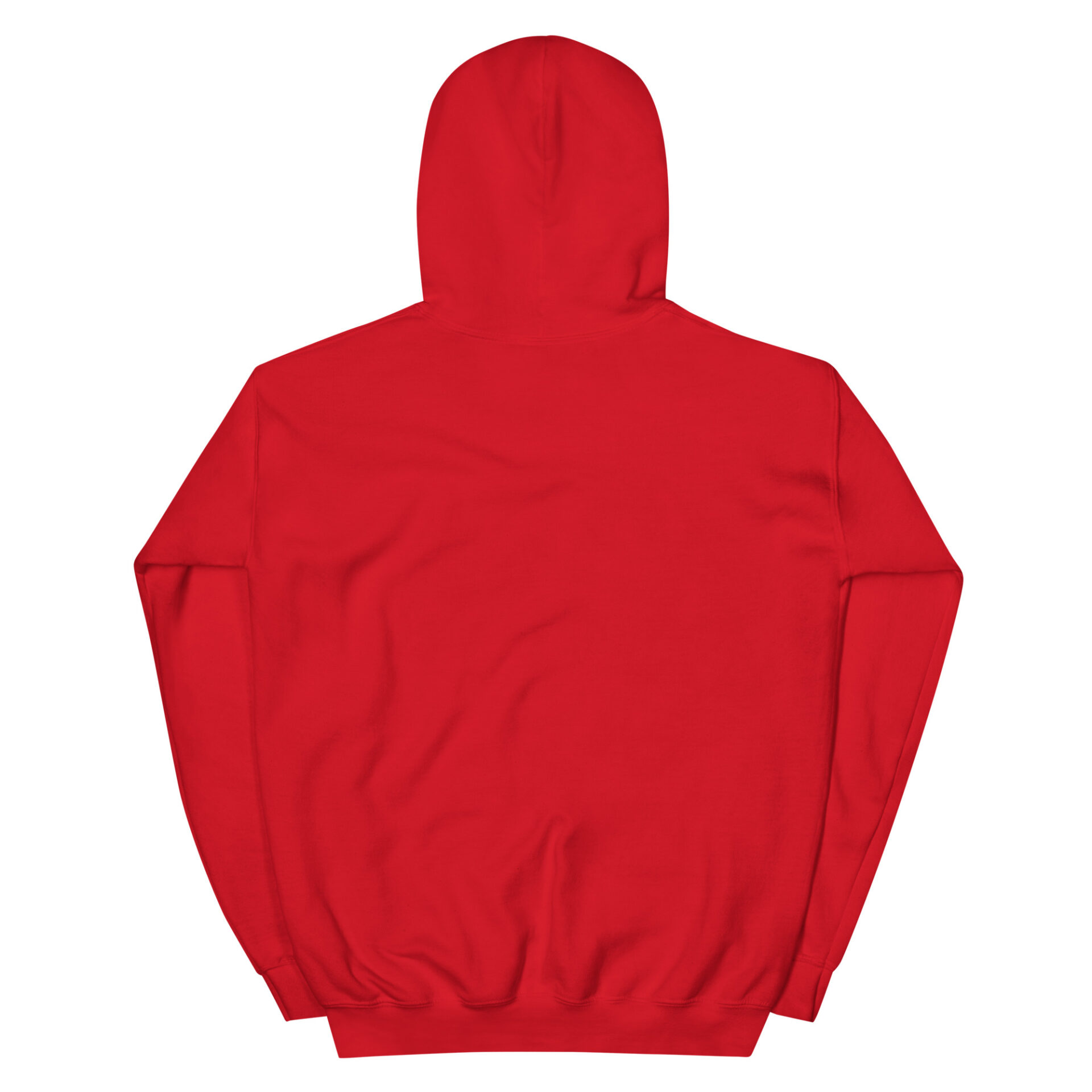 unisex-heavy-blend-hoodie-red-back-67509e222916e.jpg