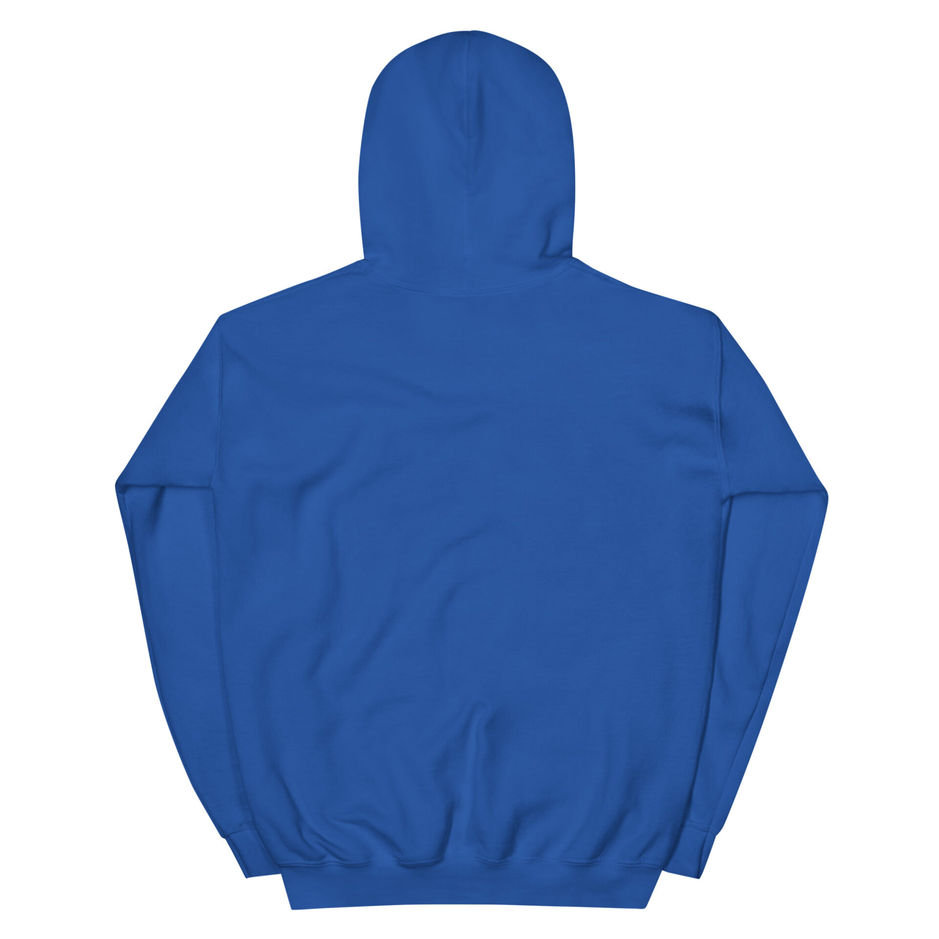 unisex-heavy-blend-hoodie-royal-back-67509fa469345.jpg