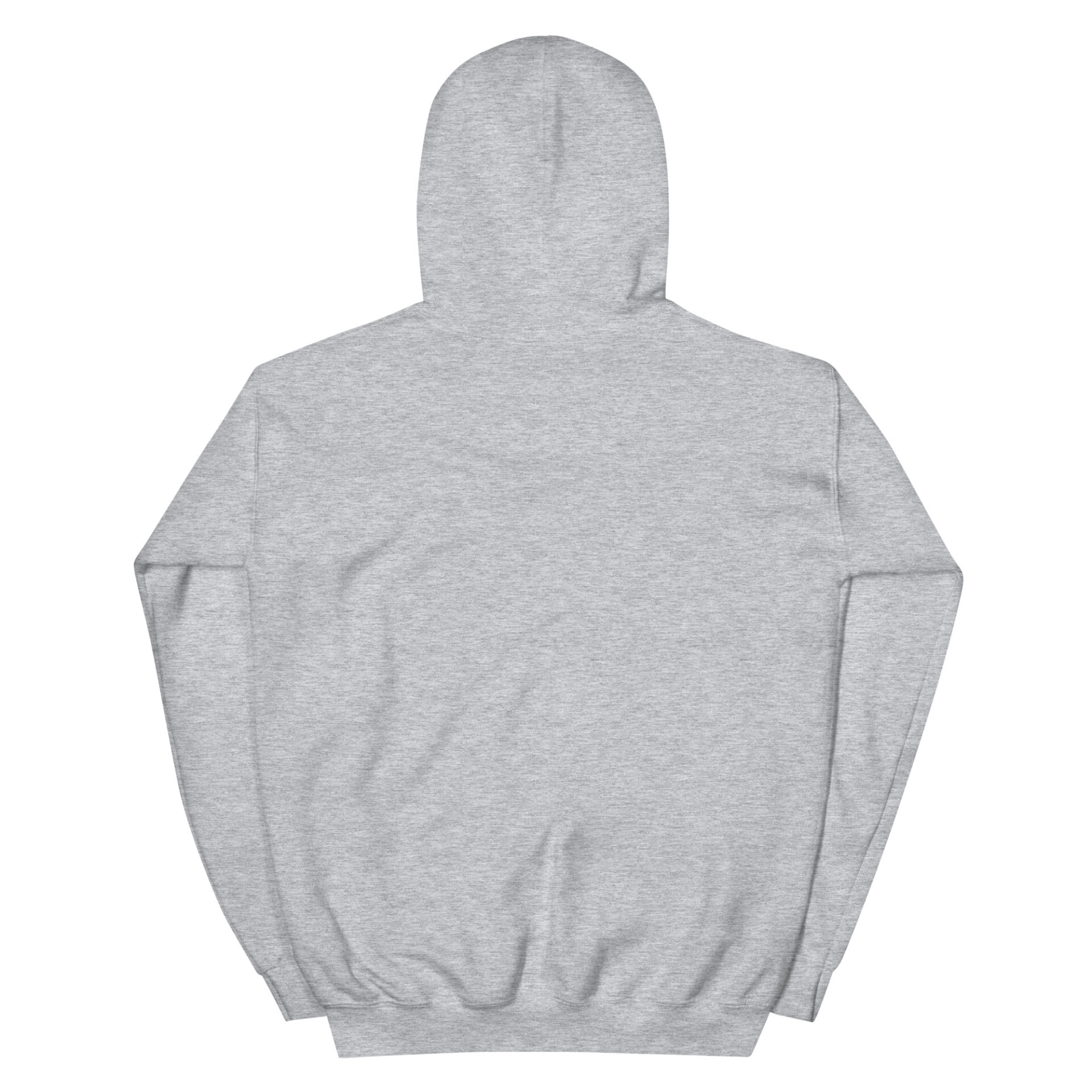 unisex-heavy-blend-hoodie-sport-grey-back-6750a02398673.jpg