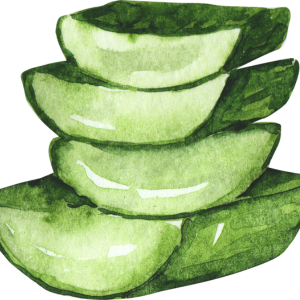 Suplementos naturales, Fuxión, Desintoxicación, Energía, Colageno,Antioxidantes, Bienestar, Salud, Vida saludable, Nutrición, Piel sana, Cabellofuerte, Articulaciones saludables, antienvejecimiento, Estilo de vida saludable, Nutrición natural, Suplementos naturales,Bienestar integral, Estilo de vida saludable, Alimentación consciente, Saludholística, Remedios ancestrales,Ingredientes milenarios, Salud preventiva, Fitonutrientes, Detoxnatural, Energía natural, Inmunidad natural, Superalimentos, Vida saludable, Equilibrionatural, Cuidado del cuerpo,Salud natural, productos orgánicos, Vitalidad natural