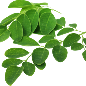 Suplementos naturales, Fuxión, Desintoxicación, Energía, Colageno,Antioxidantes, Bienestar, Salud, Vida saludable, Nutrición, Piel sana, Cabellofuerte, Articulaciones saludables, antienvejecimiento, Estilo de vida saludable, Nutrición natural, Suplementos naturales,Bienestar integral, Estilo de vida saludable, Alimentación consciente, Saludholística, Remedios ancestrales,Ingredientes milenarios, Salud preventiva, Fitonutrientes, Detoxnatural, Energía natural, Inmunidad natural, Superalimentos, Vida saludable, Equilibrionatural, Cuidado del cuerpo,Salud natural, productos orgánicos, Vitalidad natural