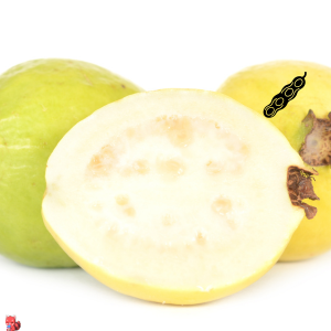 Suplementos naturales, Fuxión, Desintoxicación, Energía, Colageno,Antioxidantes, Bienestar, Salud, Vida saludable, Nutrición, Piel sana, Cabellofuerte, Articulaciones saludables, antienvejecimiento, Estilo de vida saludable, Nutrición natural, Suplementos naturales,Bienestar integral, Estilo de vida saludable, Alimentación consciente, Saludholística, Remedios ancestrales,Ingredientes milenarios, Salud preventiva, Fitonutrientes, Detoxnatural, Energía natural, Inmunidad natural, Superalimentos, Vida saludable, Equilibrionatural, Cuidado del cuerpo,Salud natural, productos orgánicos, Vitalidad natural