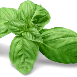 Suplementos naturales, Fuxión, Desintoxicación, Energía, Colageno,Antioxidantes, Bienestar, Salud, Vida saludable, Nutrición, Piel sana, Cabellofuerte, Articulaciones saludables, antienvejecimiento, Estilo de vida saludable, Nutrición natural, Suplementos naturales,Bienestar integral, Estilo de vida saludable, Alimentación consciente, Saludholística, Remedios ancestrales,Ingredientes milenarios, Salud preventiva, Fitonutrientes, Detoxnatural, Energía natural, Inmunidad natural, Superalimentos, Vida saludable, Equilibrionatural, Cuidado del cuerpo,Salud natural, productos orgánicos, Vitalidad natural