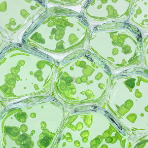 Suplementos naturales, Fuxión, Desintoxicación, Energía, Colageno,Antioxidantes, Bienestar, Salud, Vida saludable, Nutrición, Piel sana, Cabellofuerte, Articulaciones saludables, antienvejecimiento, Estilo de vida saludable, Nutrición natural, Suplementos naturales,Bienestar integral, Estilo de vida saludable, Alimentación consciente, Saludholística, Remedios ancestrales,Ingredientes milenarios, Salud preventiva, Fitonutrientes, Detoxnatural, Energía natural, Inmunidad natural, Superalimentos, Vida saludable, Equilibrionatural, Cuidado del cuerpo,Salud natural, productos orgánicos, Vitalidad natu