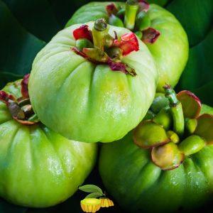 Suplementos naturales, Fuxión, Desintoxicación, Energía, Colageno,Antioxidantes, Bienestar, Salud, Vida saludable, Nutrición, Piel sana, Cabellofuerte, Articulaciones saludables, antienvejecimiento, Estilo de vida saludable, Nutrición natural, Suplementos naturales,Bienestar integral, Estilo de vida saludable, Alimentación consciente, Saludholística, Remedios ancestrales,Ingredientes milenarios, Salud preventiva, Fitonutrientes, Detoxnatural, Energía natural, Inmunidad natural, Superalimentos, Vida saludable, Equilibrionatural, Cuidado del cuerpo,Salud natural, productos orgánicos, Vitalidad natural