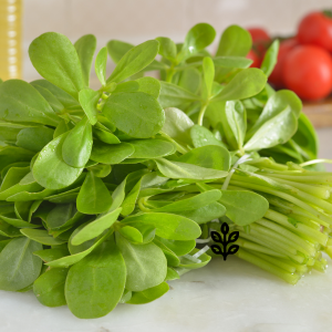 Suplementos naturales, Fuxión, Desintoxicación, Energía, Colageno,Antioxidantes, Bienestar, Salud, Vida saludable, Nutrición, Piel sana, Cabellofuerte, Articulaciones saludables, antienvejecimiento, Estilo de vida saludable, Nutrición natural, Suplementos naturales,Bienestar integral, Estilo de vida saludable, Alimentación consciente, Saludholística, Remedios ancestrales,Ingredientes milenarios, Salud preventiva, Fitonutrientes, Detoxnatural, Energía natural, Inmunidad natural, Superalimentos, Vida saludable, Equilibrionatural, Cuidado del cuerpo,Salud natural, productos orgánicos, Vitalidad natural