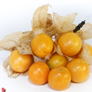 Suplementos naturales, Fuxión, Desintoxicación, Energía, Colageno,Antioxidantes, Bienestar, Salud, Vida saludable, Nutrición, Piel sana, Cabellofuerte, Articulaciones saludables, antienvejecimiento, Estilo de vida saludable, Nutrición natural, Suplementos naturales,Bienestar integral, Estilo de vida saludable, Alimentación consciente, Saludholística, Remedios ancestrales,Ingredientes milenarios, Salud preventiva, Fitonutrientes, Detoxnatural, Energía natural, Inmunidad natural, Superalimentos, Vida saludable, Equilibrionatural, Cuidado del cuerpo,Salud natural, productos orgánicos, Vitalidad natu